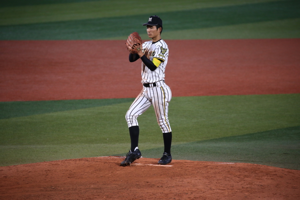 f:id:summer-jingu-stadium:20170630212958j:plain f:id:summer-jingu-stadium:20170630212958j:plain
