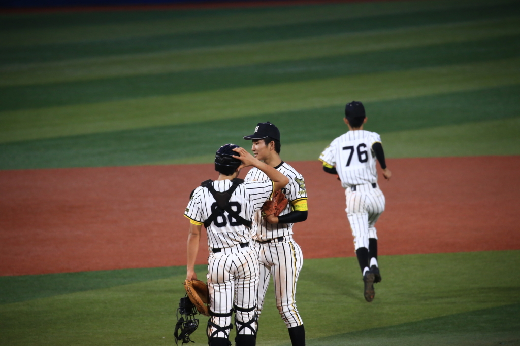 f:id:summer-jingu-stadium:20170630213149j:plain f:id:summer-jingu-stadium:20170630213149j:plain