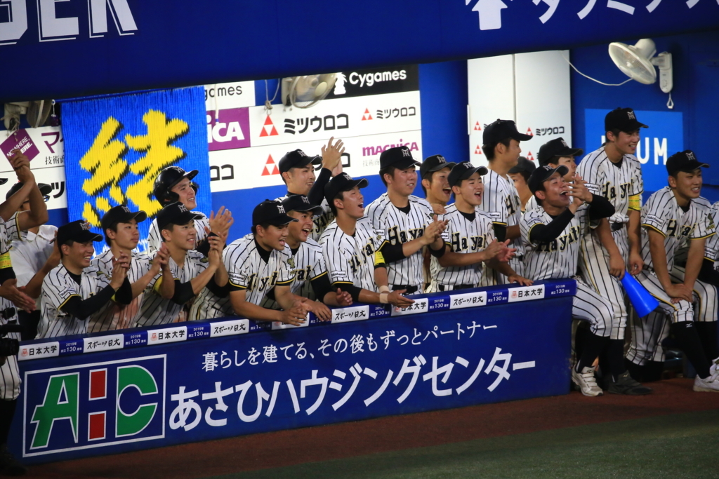 f:id:summer-jingu-stadium:20170630213221j:plain f:id:summer-jingu-stadium:20170630213221j:plain