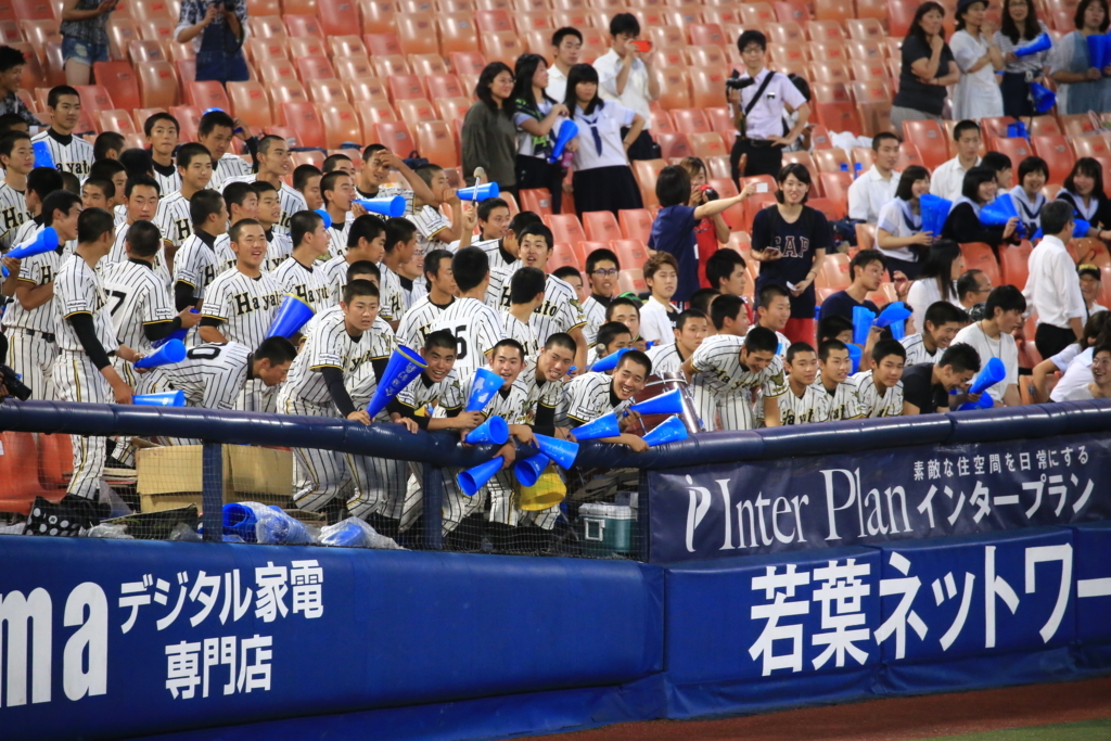 f:id:summer-jingu-stadium:20170630213243j:plain f:id:summer-jingu-stadium:20170630213243j:plain