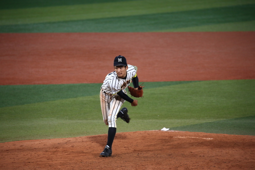 f:id:summer-jingu-stadium:20170630213336j:plain f:id:summer-jingu-stadium:20170630213336j:plain
