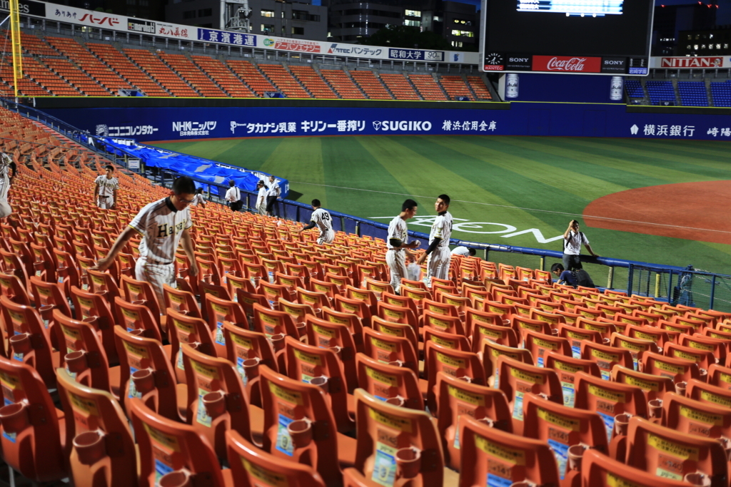 f:id:summer-jingu-stadium:20170630214704j:plain f:id:summer-jingu-stadium:20170630214704j:plain