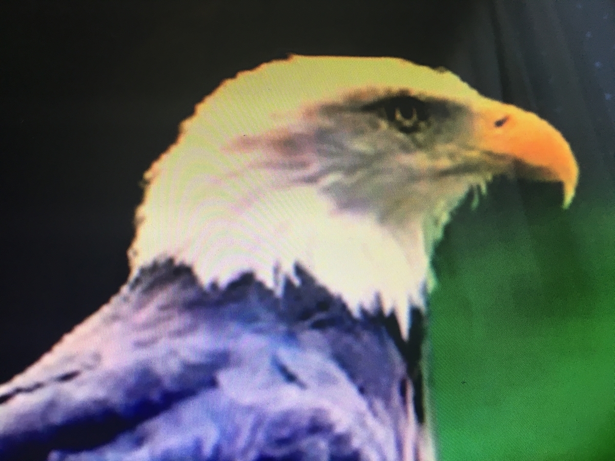 f:id:summer333:20190904145235j:plain
