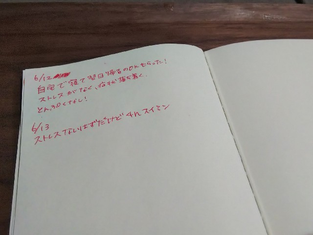f:id:summer_58:20190613054706j:image
