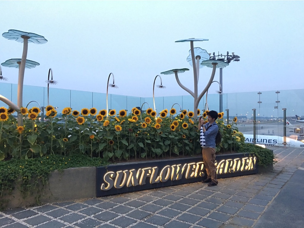 f:id:summer_resort:20160831212339j:image f:id:summer_resort:20160831212339j:image