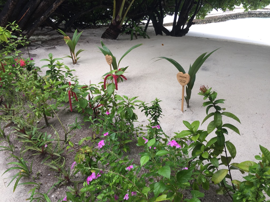 f:id:summer_resort:20160903104618j:image f:id:summer_resort:20160903104618j:image