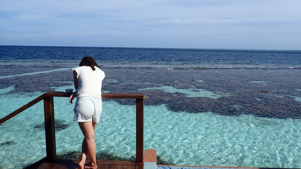 f:id:summer_resort:20160904184104j:image f:id:summer_resort:20160904184104j:image