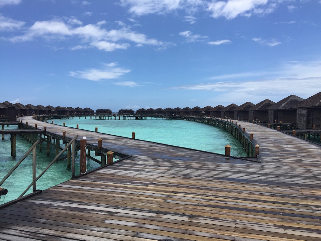 f:id:summer_resort:20160904184723j:image f:id:summer_resort:20160904184723j:image