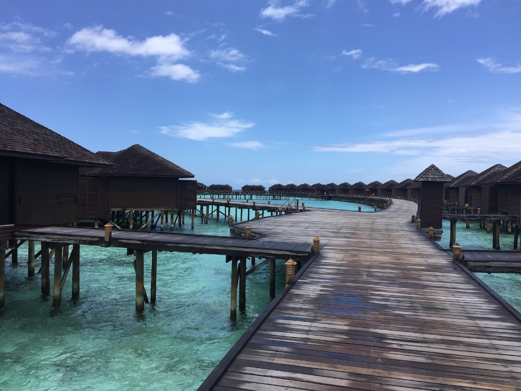 f:id:summer_resort:20160904184758j:image f:id:summer_resort:20160904184758j:image