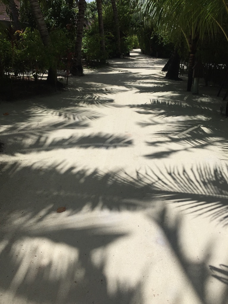 f:id:summer_resort:20160904185152j:image f:id:summer_resort:20160904185152j:image