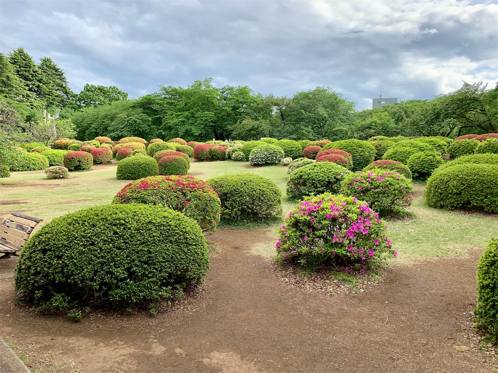 f:id:summer_resort:20190507234005j:image f:id:summer_resort:20190507234005j:image