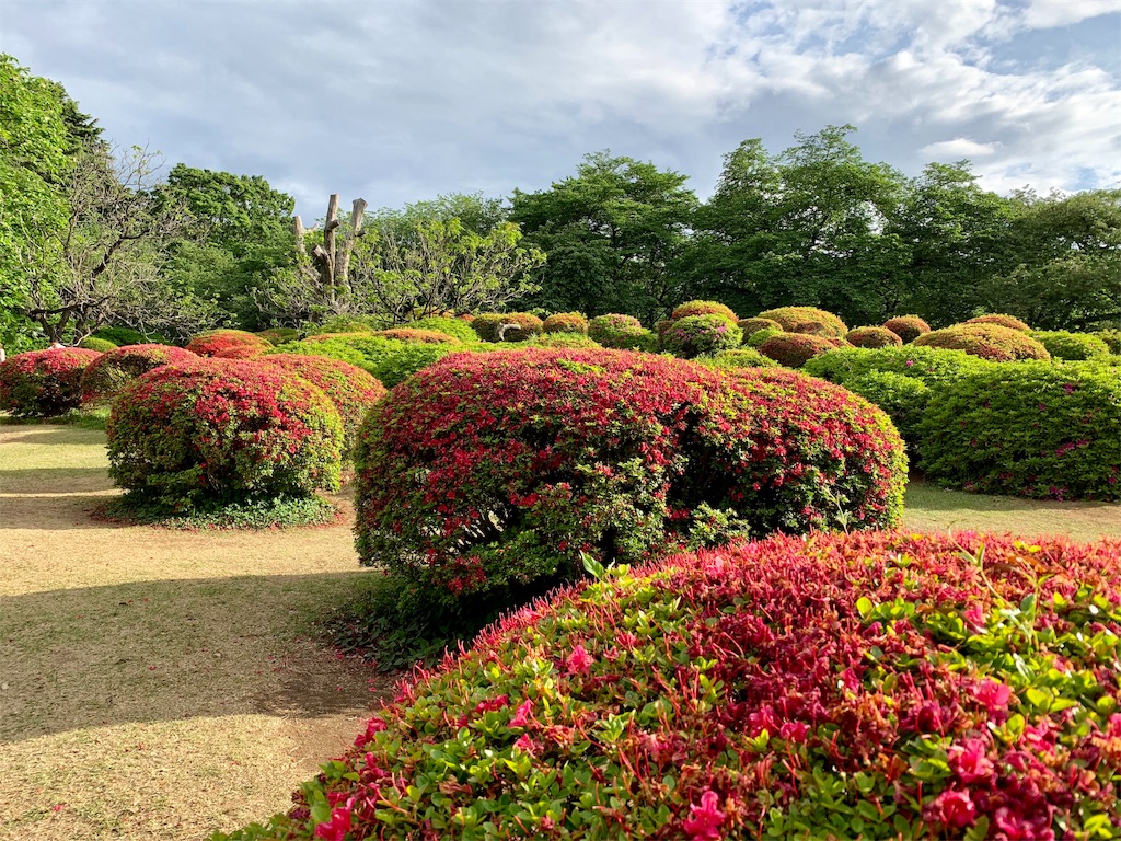 f:id:summer_resort:20190507234013j:image f:id:summer_resort:20190507234013j:image