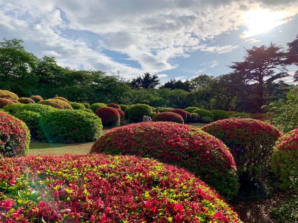 f:id:summer_resort:20190507234043j:image f:id:summer_resort:20190507234043j:image