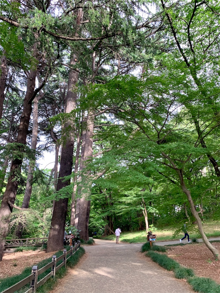 f:id:summer_resort:20190507234105j:image f:id:summer_resort:20190507234105j:image