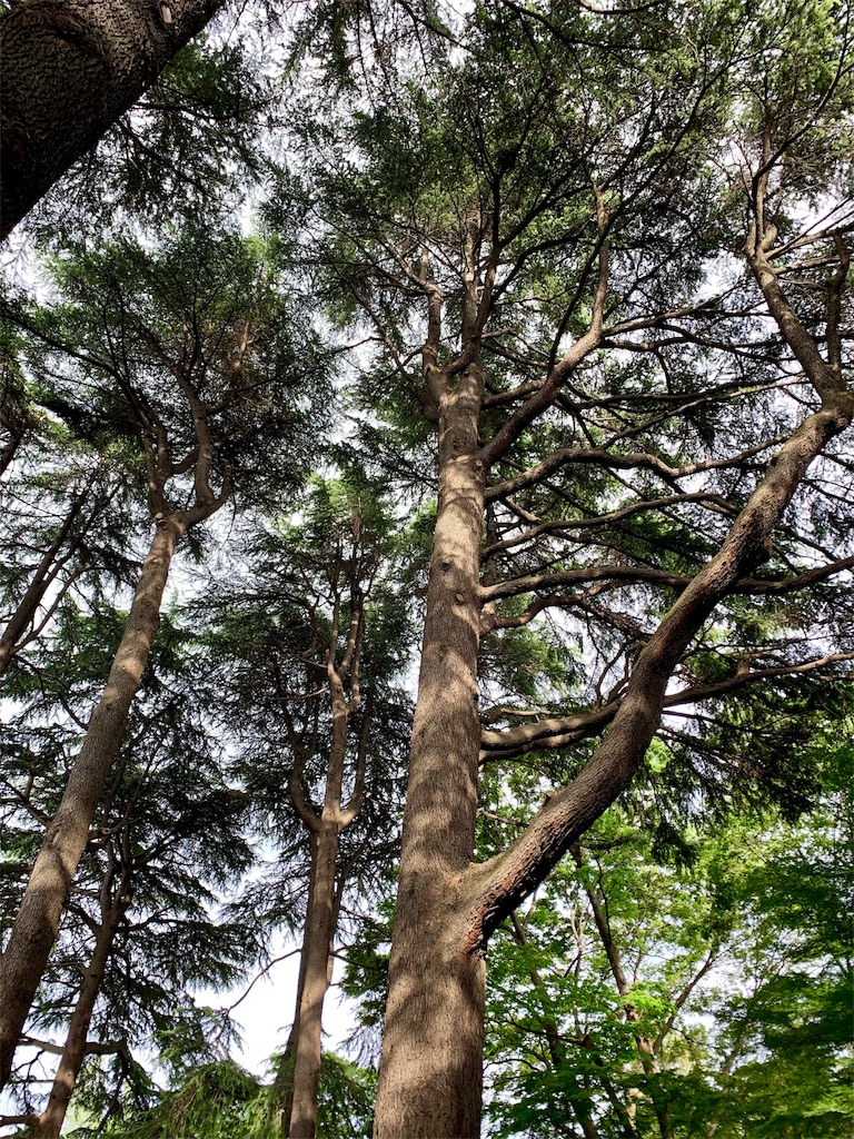 f:id:summer_resort:20190507234115j:image f:id:summer_resort:20190507234115j:image