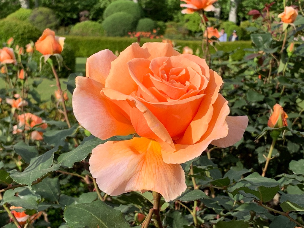 f:id:summer_resort:20190507234357j:image f:id:summer_resort:20190507234357j:image