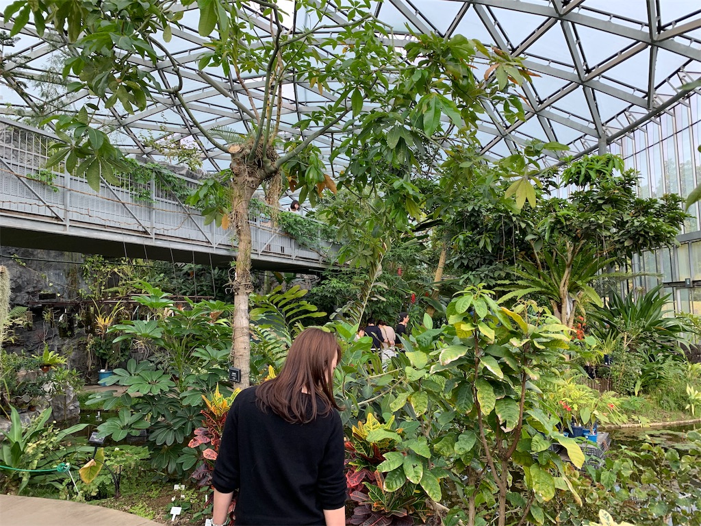 f:id:summer_resort:20190507234710j:image f:id:summer_resort:20190507234710j:image