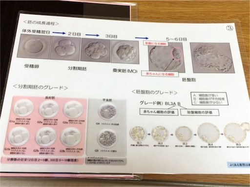【胚移植体験談@IVFなんば】 - 体外受精☆34歳で初産 新米ママ☆東京・大阪