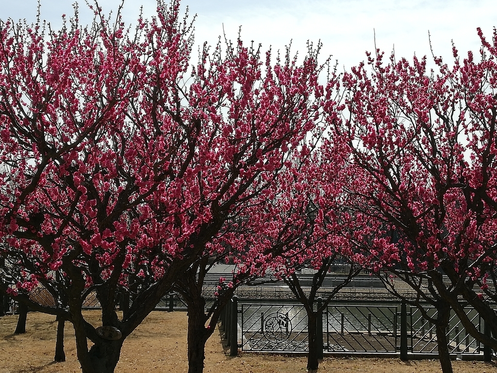 f:id:summerplus64:20190224144555j:plain