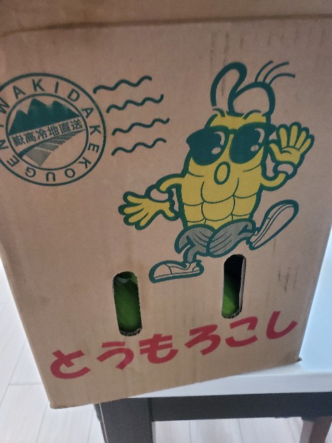 f:id:sumokichi:20220814174823j:image f:id:sumokichi:20220814174823j:image