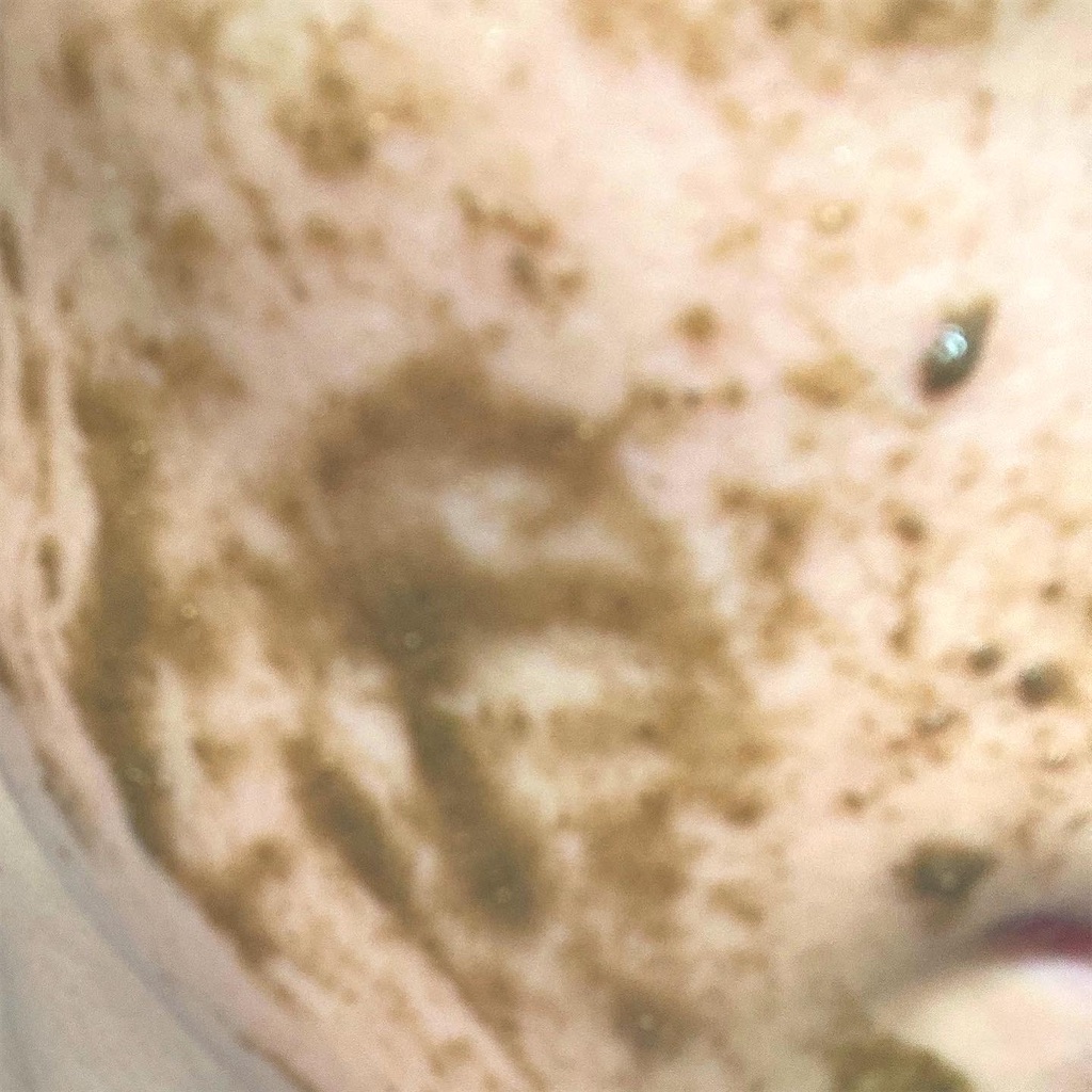 f:id:sumokun:20200908114018j:image f:id:sumokun:20200908114018j:image