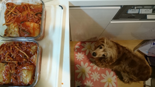 f:id:sumomomomoko:20160229130928j:plain f:id:sumomomomoko:20160229130928j:plain