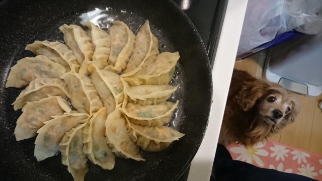 f:id:sumomomomoko:20160229140047j:plain f:id:sumomomomoko:20160229140047j:plain