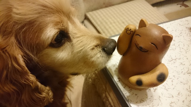 f:id:sumomomomoko:20160308122413j:plain