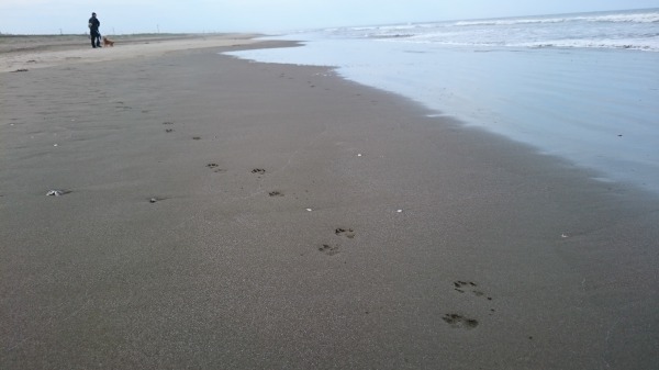 f:id:sumomomomoko:20160607134129j:plain f:id:sumomomomoko:20160607134129j:plain