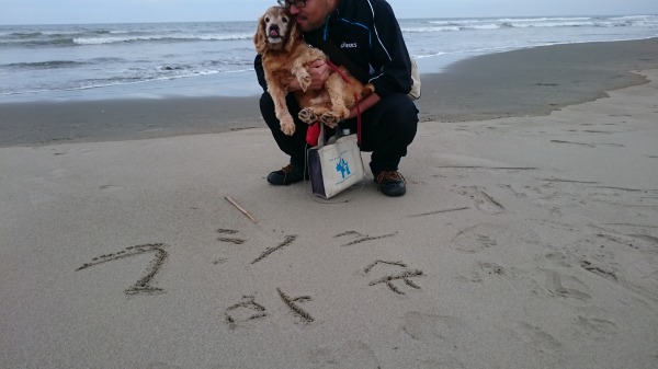 f:id:sumomomomoko:20160607134156j:plain f:id:sumomomomoko:20160607134156j:plain