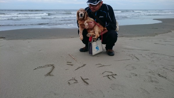 f:id:sumomomomoko:20160607134327j:plain f:id:sumomomomoko:20160607134327j:plain