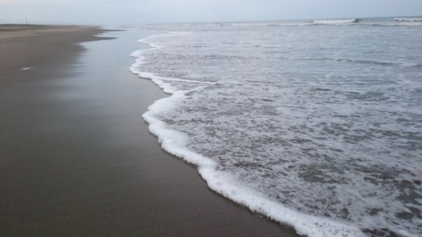 f:id:sumomomomoko:20160607134340j:plain f:id:sumomomomoko:20160607134340j:plain