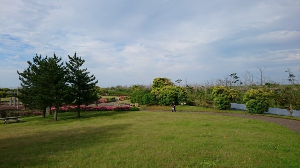 f:id:sumomomomoko:20160607134442j:plain f:id:sumomomomoko:20160607134442j:plain