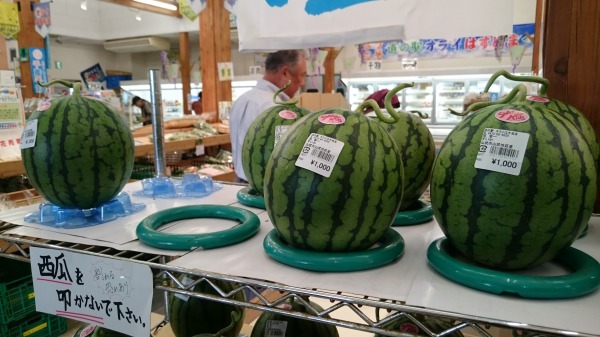 f:id:sumomomomoko:20160607134553j:plain f:id:sumomomomoko:20160607134553j:plain