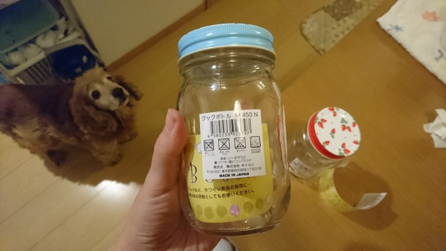 f:id:sumomomomoko:20161124190415j:plain