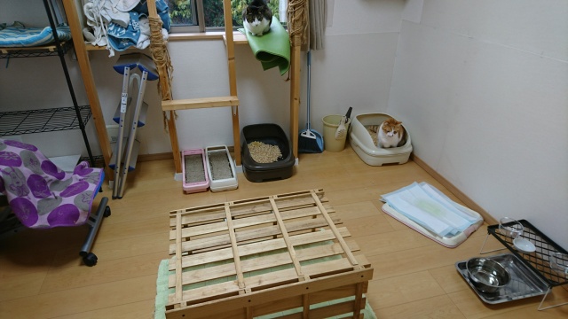 f:id:sumomomomoko:20161126183447j:plain