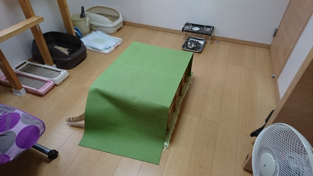 f:id:sumomomomoko:20161126183923j:plain