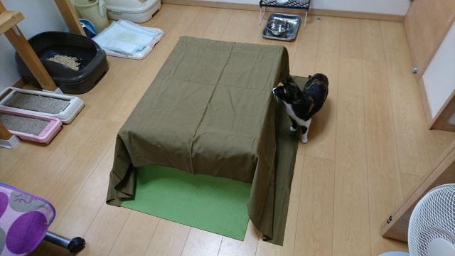 f:id:sumomomomoko:20161126183931j:plain