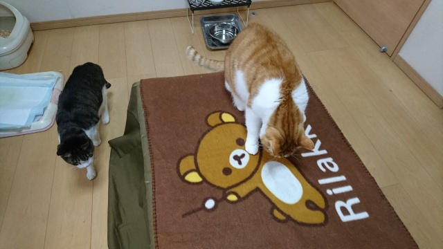 f:id:sumomomomoko:20161126183936j:plain