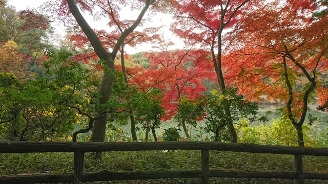 f:id:sumomomomoko:20161129185959j:plain f:id:sumomomomoko:20161129185959j:plain
