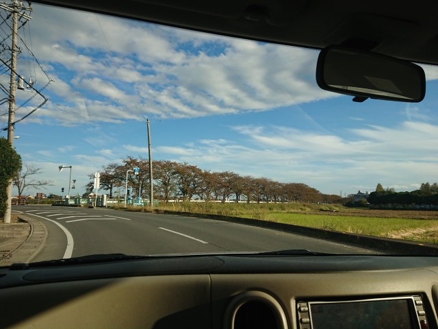 f:id:sumomomomoko:20181104214420j:plain