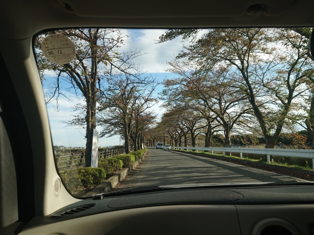 f:id:sumomomomoko:20181104214424j:plain