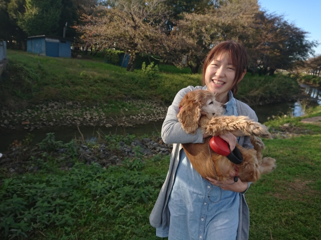 f:id:sumomomomoko:20181104214507j:plain
