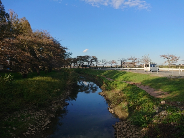 f:id:sumomomomoko:20181104214510j:plain