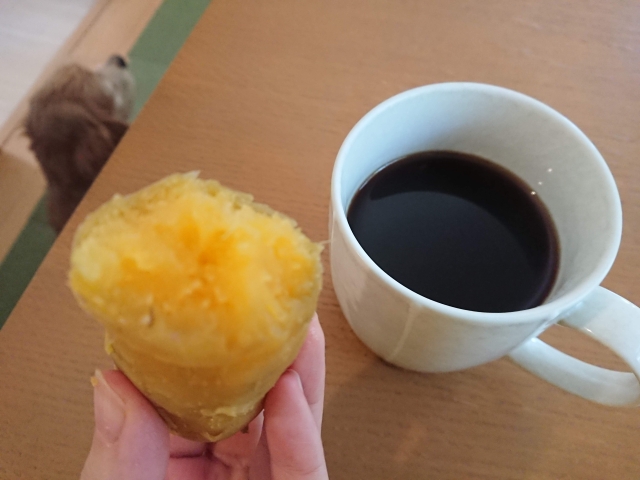 f:id:sumomomomoko:20181104214617j:plain