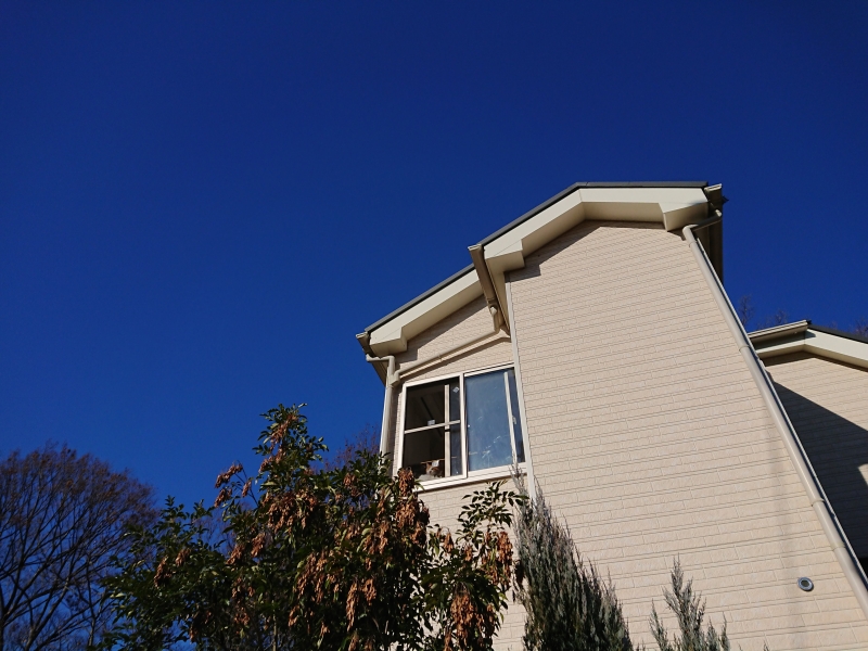 f:id:sumomomomoko:20190108232800j:plain