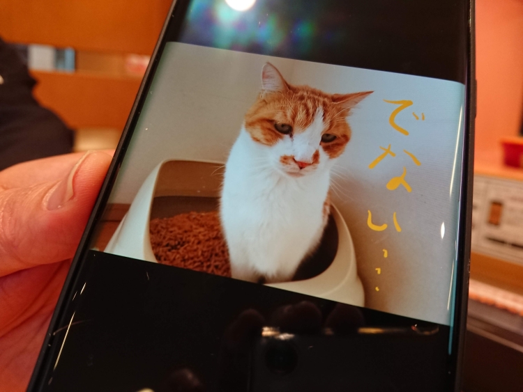 f:id:sumomomomoko:20190627005206j:plain