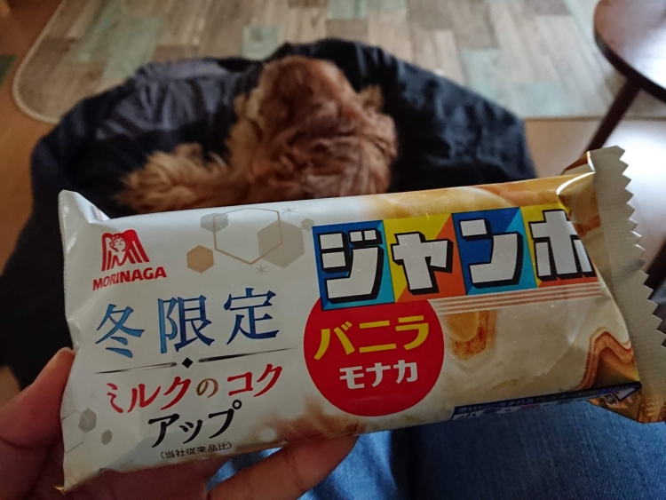 f:id:sumomomomoko:20200125194103j:plain