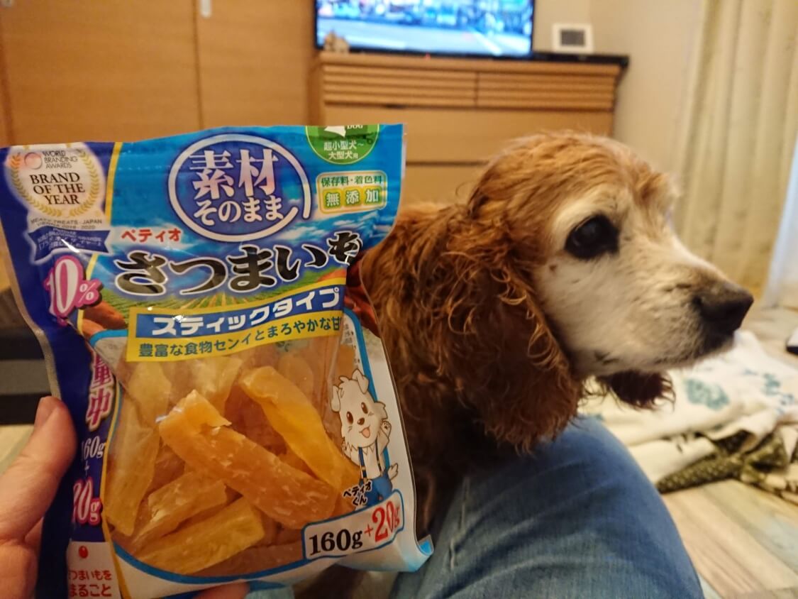 f:id:sumomomomoko:20200329230708j:plain