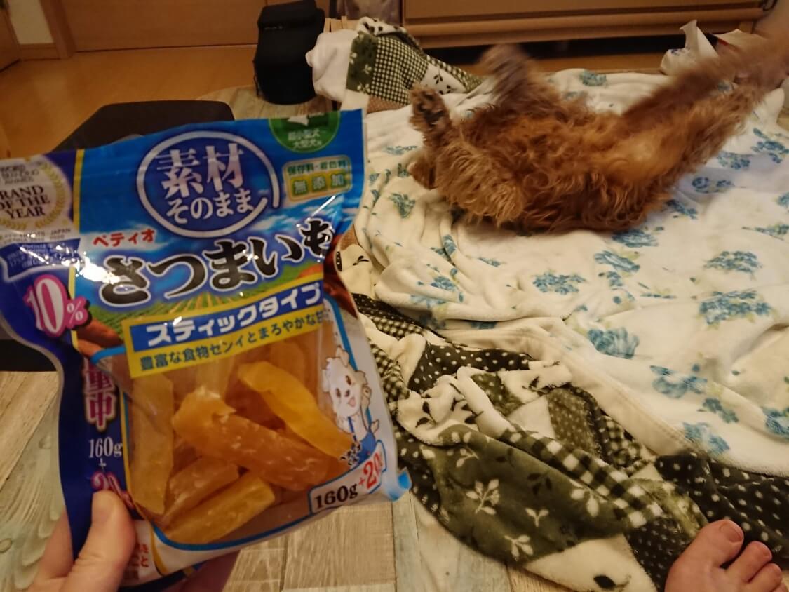 f:id:sumomomomoko:20200329230712j:plain
